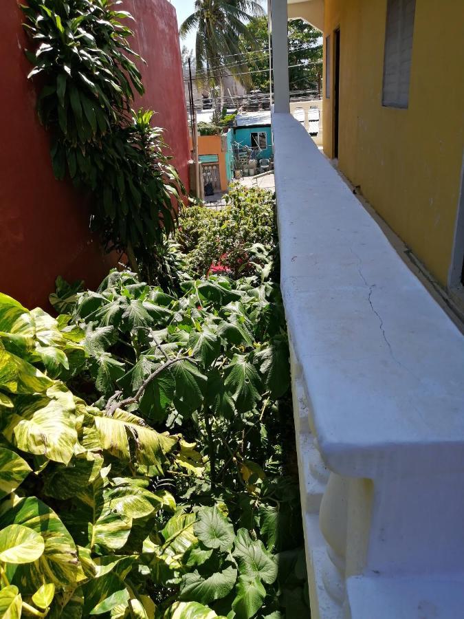 Tucán Playa del Carmen