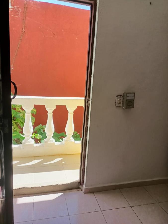 Tucán Playa del Carmen